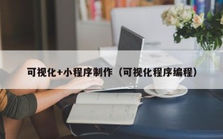湖北可视化+小程序制作（可视化程序编程）